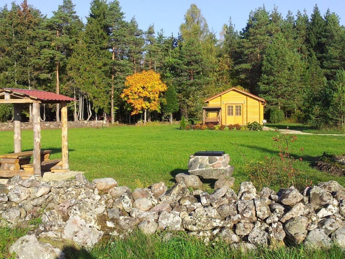 Maenniste Holiday Home Hiievalja Стая снимка